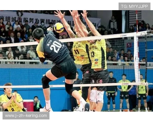 上海男排双人拦网形成有效封堵：以默契与科学铸就防线新高度